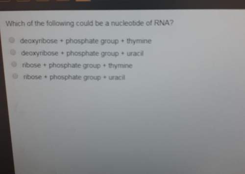 Which of the following could be a nucletide of rna?