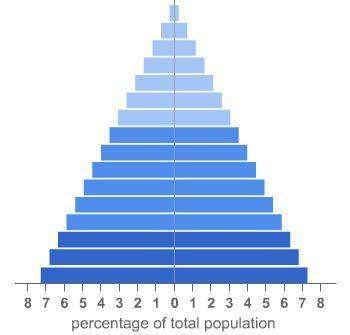 What conclusion can you draw from the population pyramid?  death rates are low.