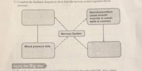 Complete the feedback diagram to show how the nervous system regulates blood pressure.