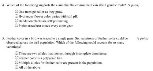 4which of the following supports the claim that the environment can affect genetic traits ?