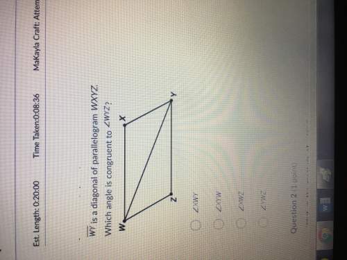 Which angle is congruent to angle wyz
