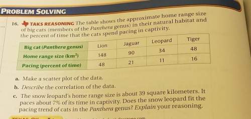 the snow leopard's home range size is about 39 square kilometers. itpaces about 7% of it