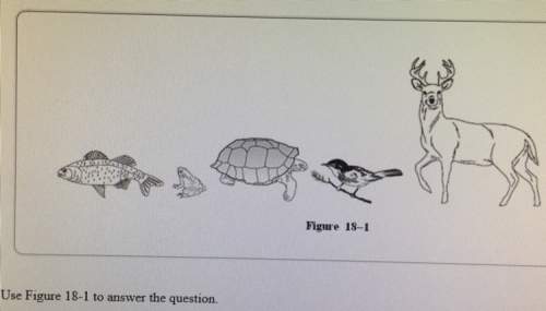 These are short answer questions! !  1. look at figure 18-1. why are such different an