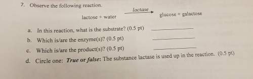 Which is the substrate, enzymes and products for this equation? is lactase used up in the reaction?
