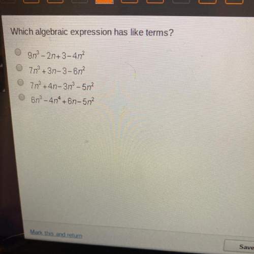 Which algebraic expressions have like terms?