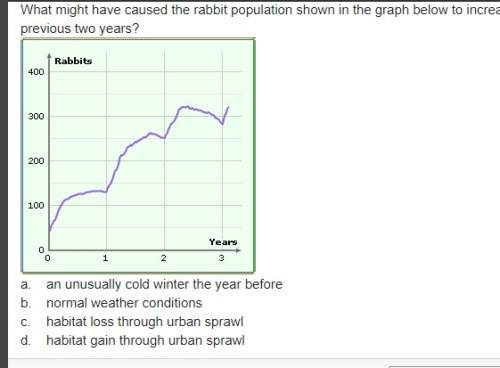 What might have caused the rabbit population shown in the graph below to increase less in the third