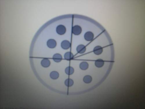 The diagram shows a sliced pizza . the largest slice shown is what fraction of the pizza .