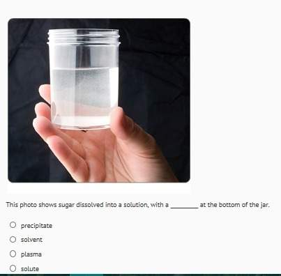 This photo shows sugar dissolved into a solution, with a at the bottom of the jar.