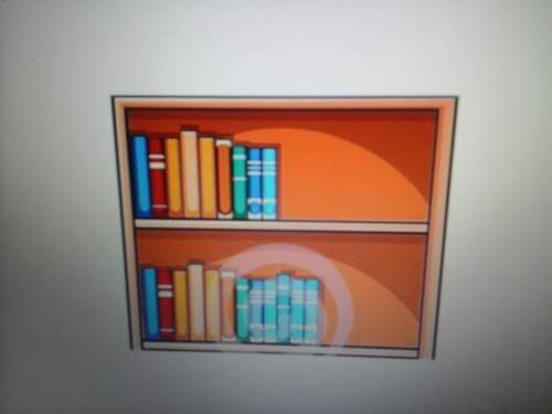 Tim the tool man wants to build a bookshelf like the one shown here . it has three horizontal length