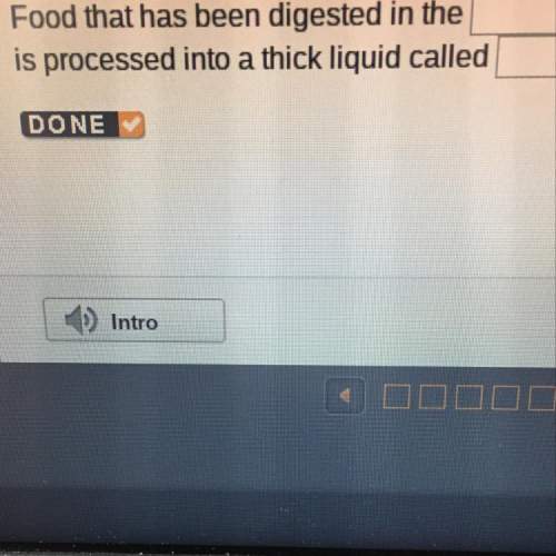 Food that has been digested in the __ is processed into a thick liquid called