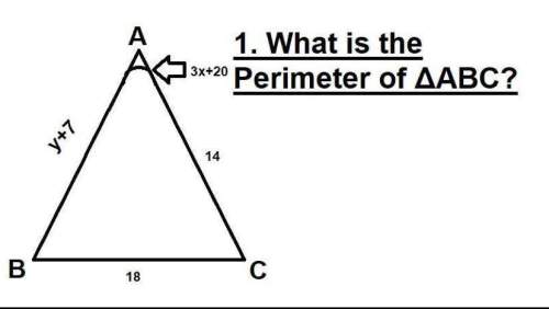 (100 points)+ ! perimeter of a triangle only answer if your answer is as a number, not an equa