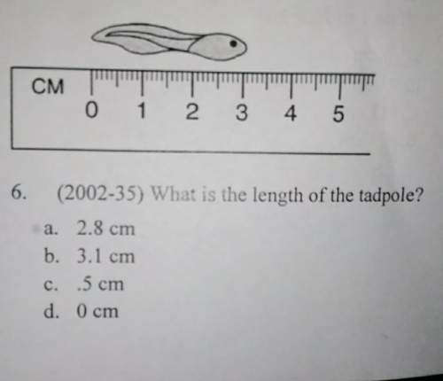 What is the length of a tadpoleme out