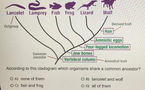 According to this cladogram which organisms share a common ancestor?  a.) none of them&lt;