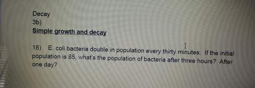 Whats the population of bacteria after 3 hours and one day