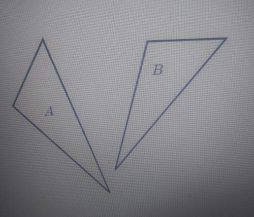 Which single transformation is shown in this picture? (picture up top) (a.) trans