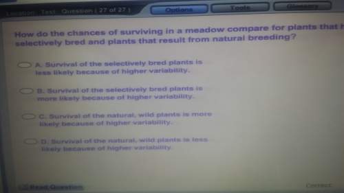How do the chances of surviving in a meadow compare for plants that have been selectively bred and p