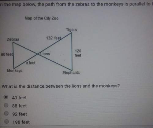 Plz answer asapwhat is the distance between the lions and monkeys?