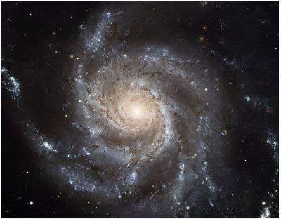 What can be concluded from this image of a spiral galaxy?  a) the arms have many young stars a