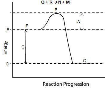 Consider the reaction pathway graph below. which indicates the energy that must be