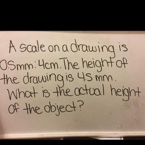 What is the actual height of the object