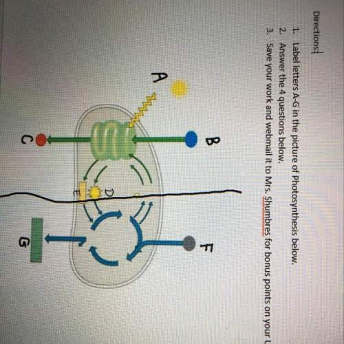 1. label letters a-g in the picture of photosynthesis below.  2. what is the name of the