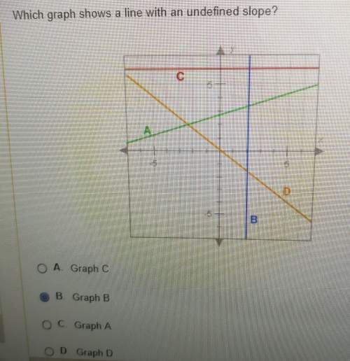 Which line shows an undefined slope?