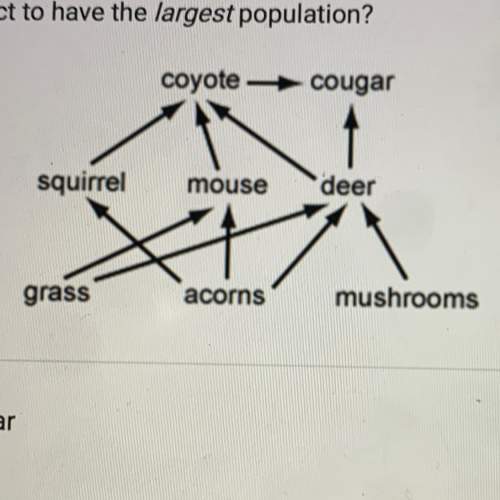 assuming that this is a healthy ecosystem, which of the following organisms would you e