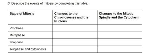 Fill out the chart what are the stages of mitosis and how in each stage does the c