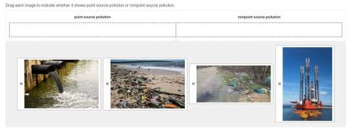 Drag each image to indicate whether it shows point source pollution or nonpoint source pollution.