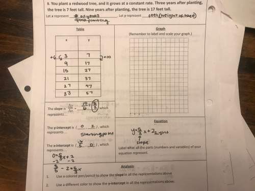 This is the homework question ( see picture). if my x and y's are correct how do i graph it?