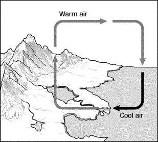 In figure 15-1, cool air is more dense and forces up air.