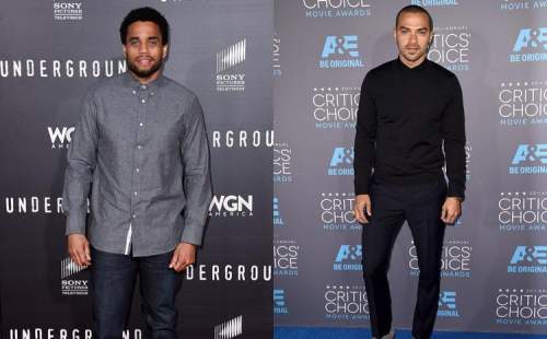 who more attractive?  jesse williams  or  michael ealy  or t.i