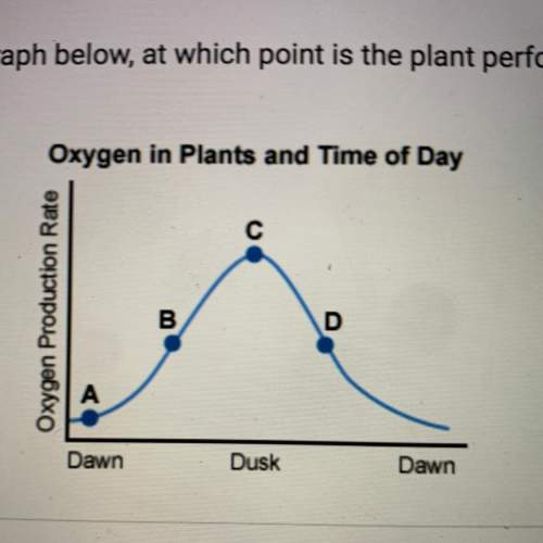 According to the graph below, at which point is the plant performing the least photosynthesis?