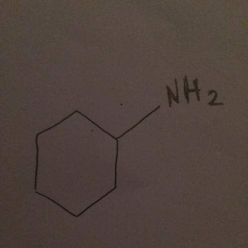 The functional group of this molecule is amines ? true ?
