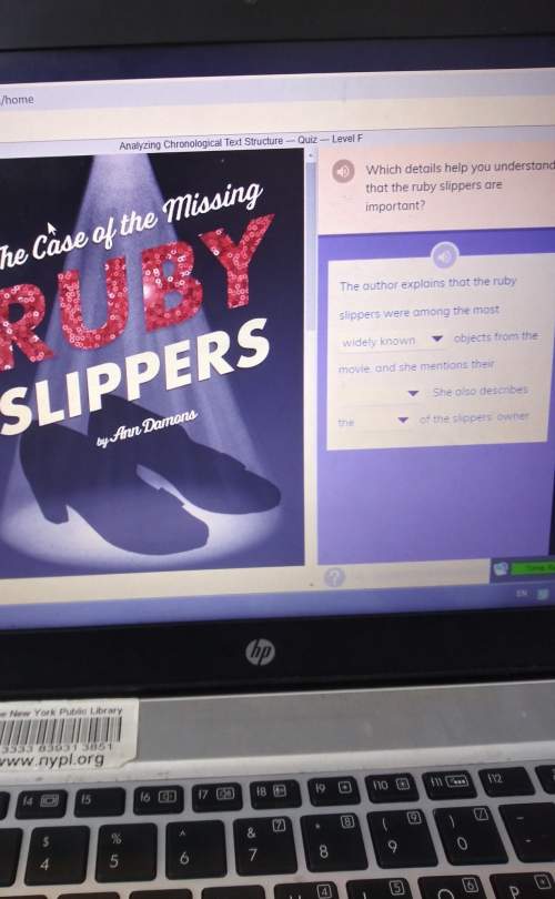 Which details you understand that the ruby slippers are important?