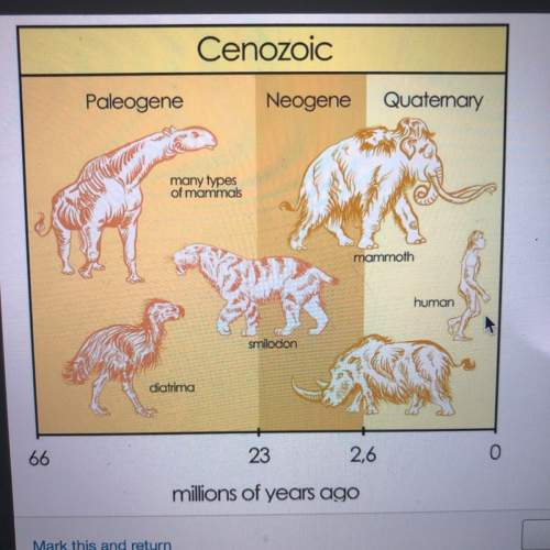 Study the image about geologic time. during which period did humans first appear on earth?