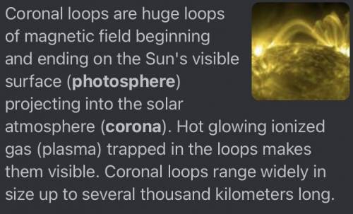 Loops of gas that exit the sun is called what?