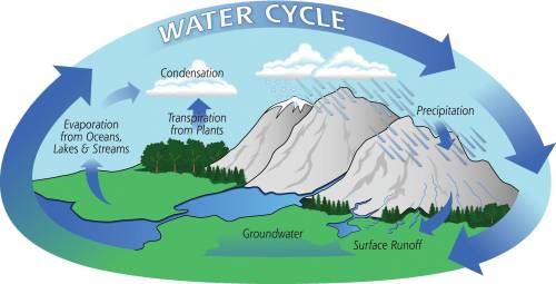 Which statement best describes the water cycle:

a: a simple circular path that water takes around e