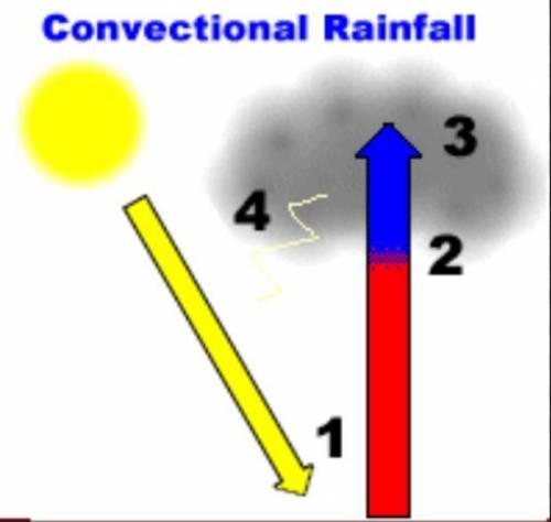 Hurry please.

What is the most common kind of precipitation?
convectional
frontal
orographic
basal