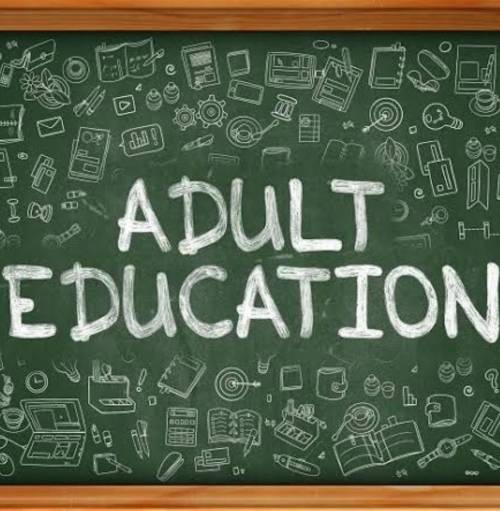 How can we develop adult education in Nigeria?