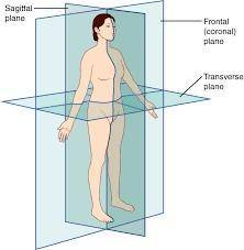 Which of the following planes divides the body into two equal right and left halves?

Sagittal
Trans