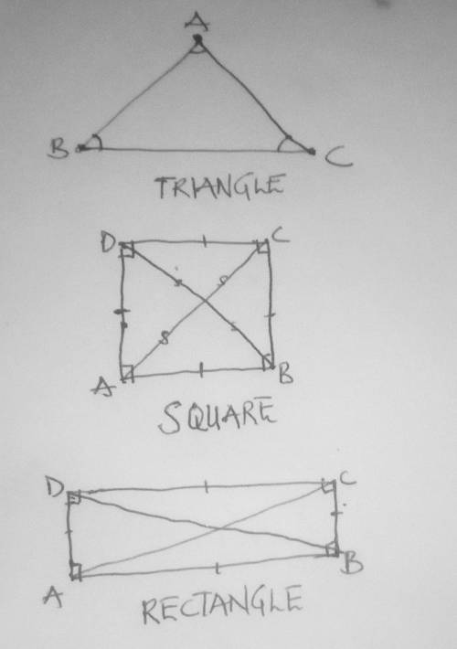 Write down properties of Square, Rectangle and Triangle with diagram.