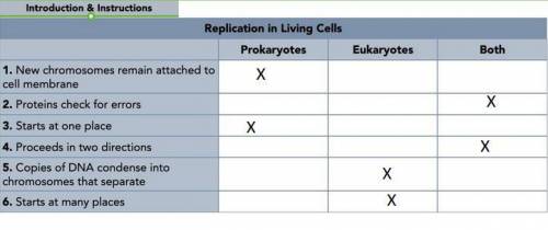 Think about how DNA replication is similar and different in prokaryotes and eukaryotes. Place X's in