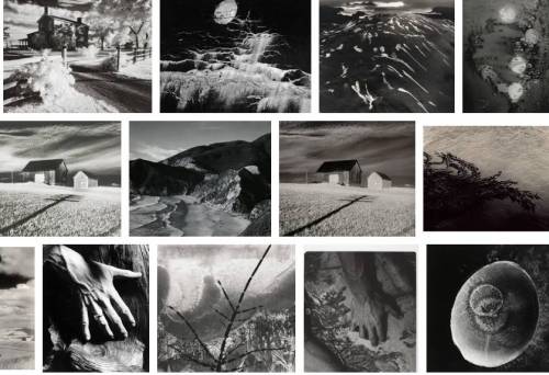 What did minor white focus on in many of his photographs?  a. swirling waves b. weathered rocks c. p