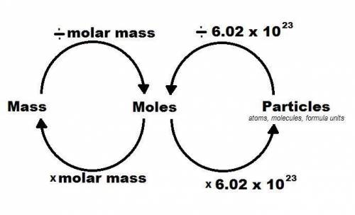 How many moles of silicon are in 5.9 X 10 to the 24 power atoms of silicon