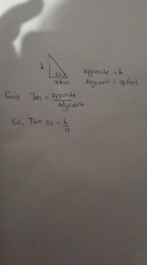 Need help please?? Triangle angle