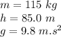 m=115 \ kg \\h= 85.0 \ m \\g= 9.8 \ m.s^2