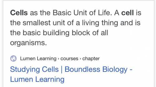 Cells are the basic unit of life true or false