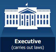 What does the executive branch do?

A. Make laws B. Interpret laws C. Carry out laws D. Revise laws