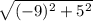 \sqrt{(-9)^2+5^2}